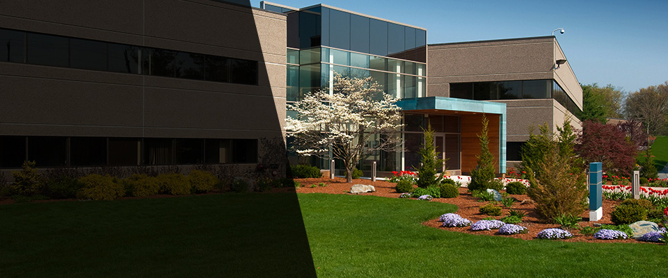 Lake Forest Landscapers