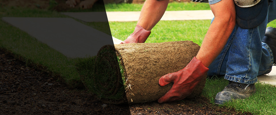 Lake Forest Landscapers